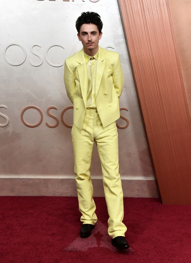 Timothee Chalamet arrives at the Oscars 