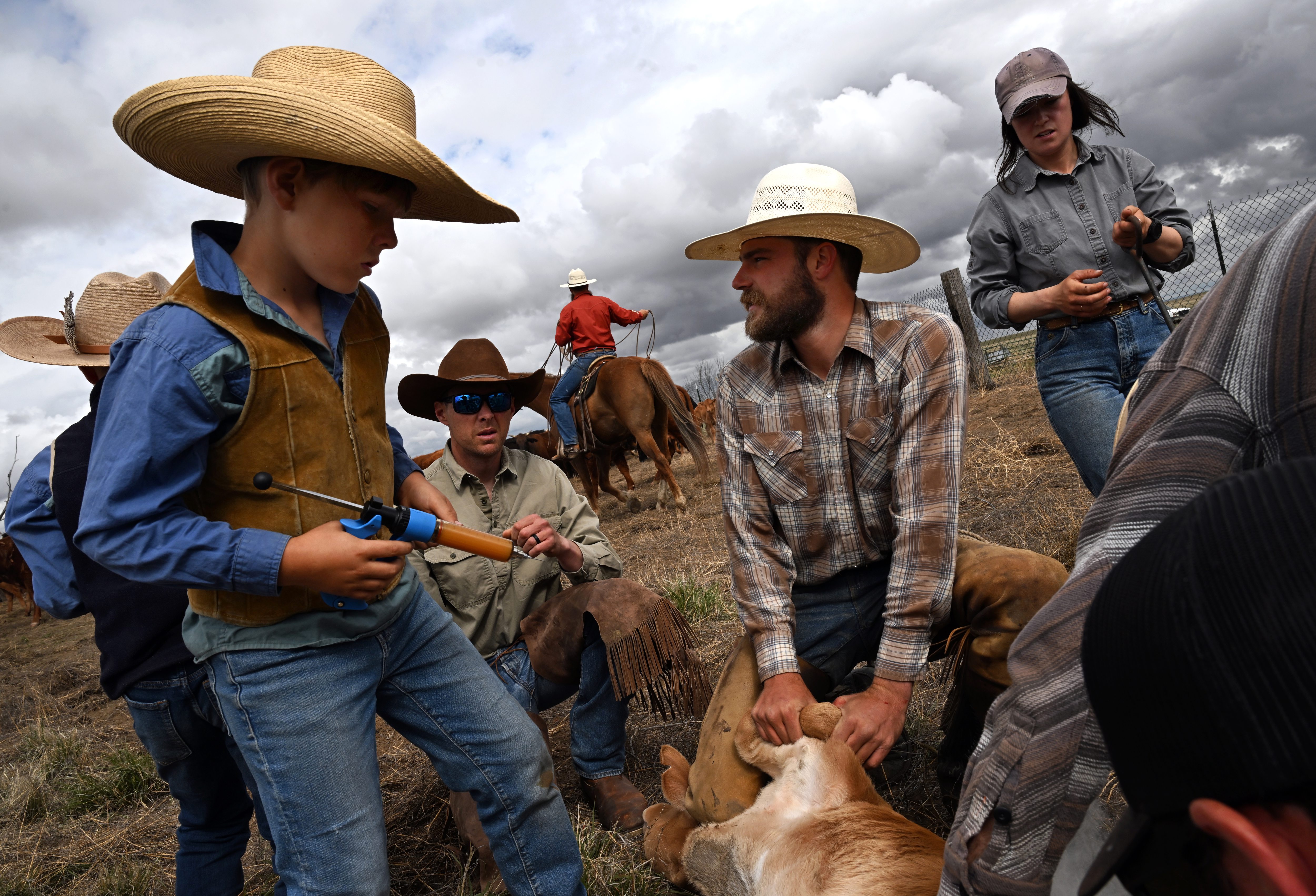 Wood Leach, 10, left, gets ready to administer at a 7-way vaccine to a calf while his father David Leach, wearing sunglasses, watches during an early season branding at Chico Basin Ranch near Hanover, Colorado on May 10, 2024. Apprentice Dylan Taylor keeps the young calf calm while apprentice Ruby Dunbar, right, gets prepared to brand the calf. At Ranchlands, they practice a traditional style of branding. Branding season begins at the end of April and lasts until the middle of June, as calves are born and reach the age at which they can be safely branded. (Photo by Helen H. Richardson/The Denver Post)